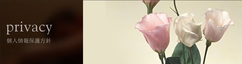 ��t�s������̊�����ЃG�X�e�e�B�b�N�T�����r�M(Bigi)�O���[�v�̌l���ی���j