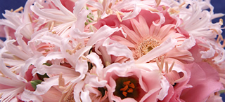 千葉県千葉市美浜区のエステビギ(Bigi)ナチュラル。